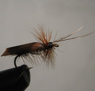 ���� ����� Dry fly  